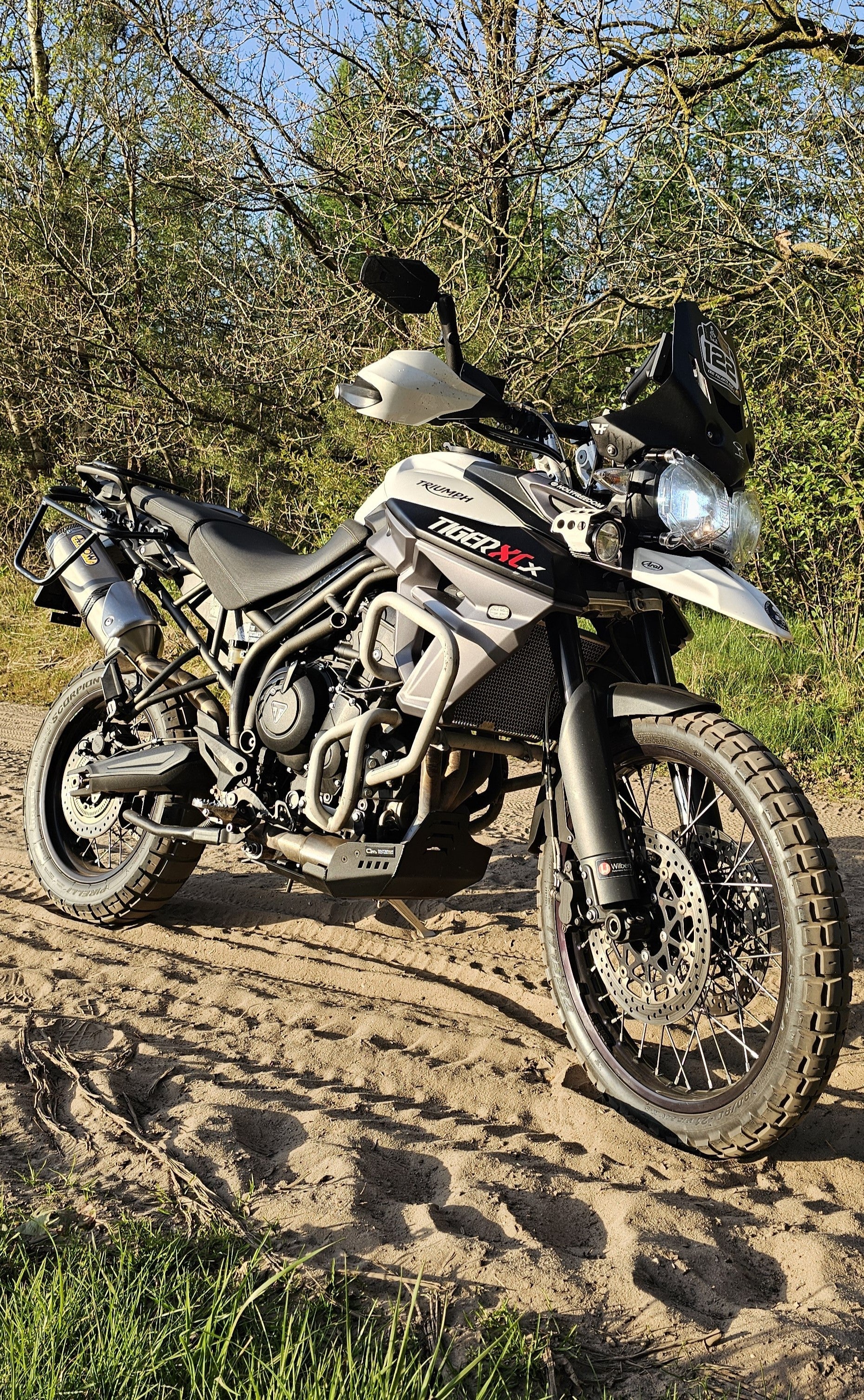 TRIUMPH XC 800