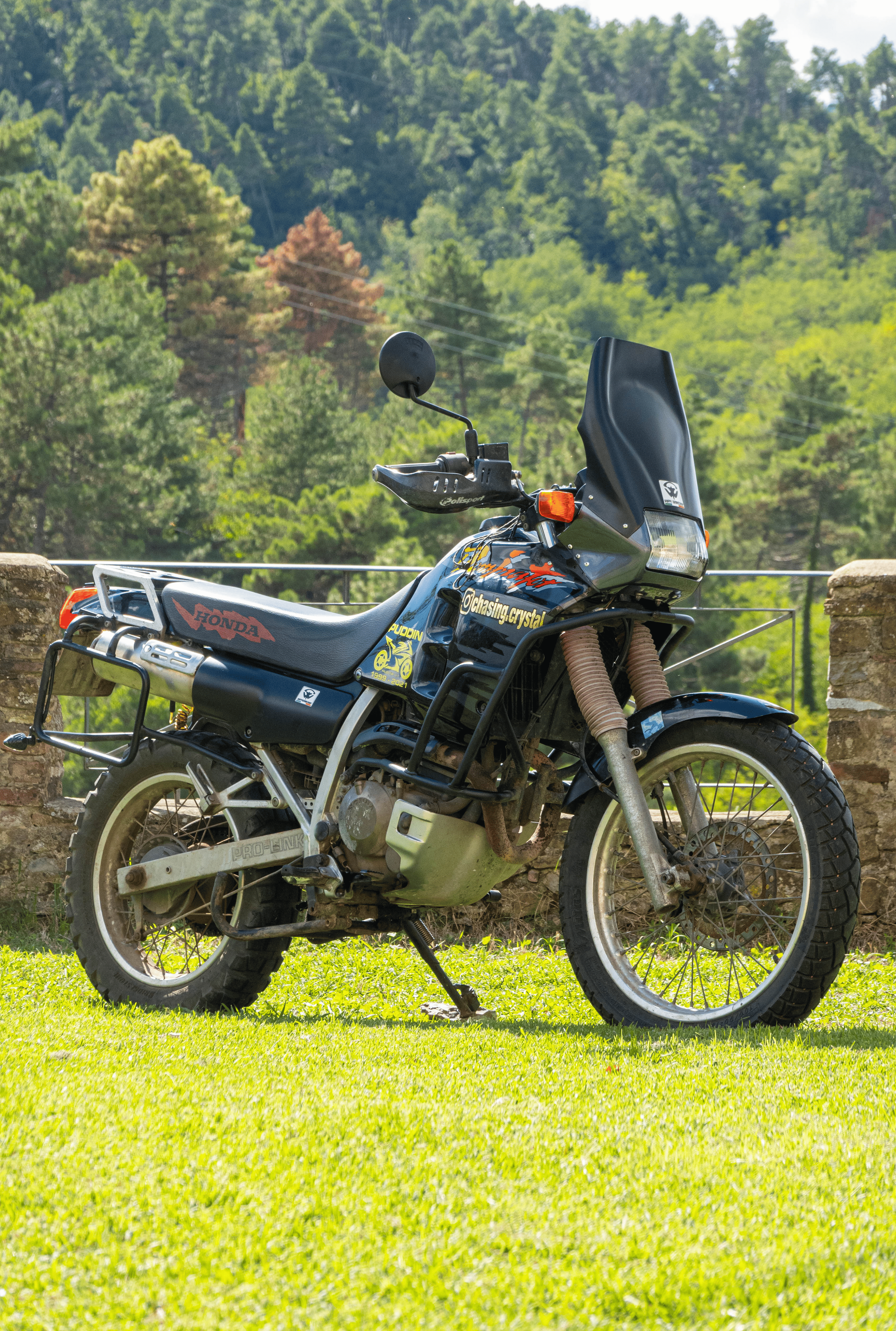 HONDA DOMINATOR NX 250