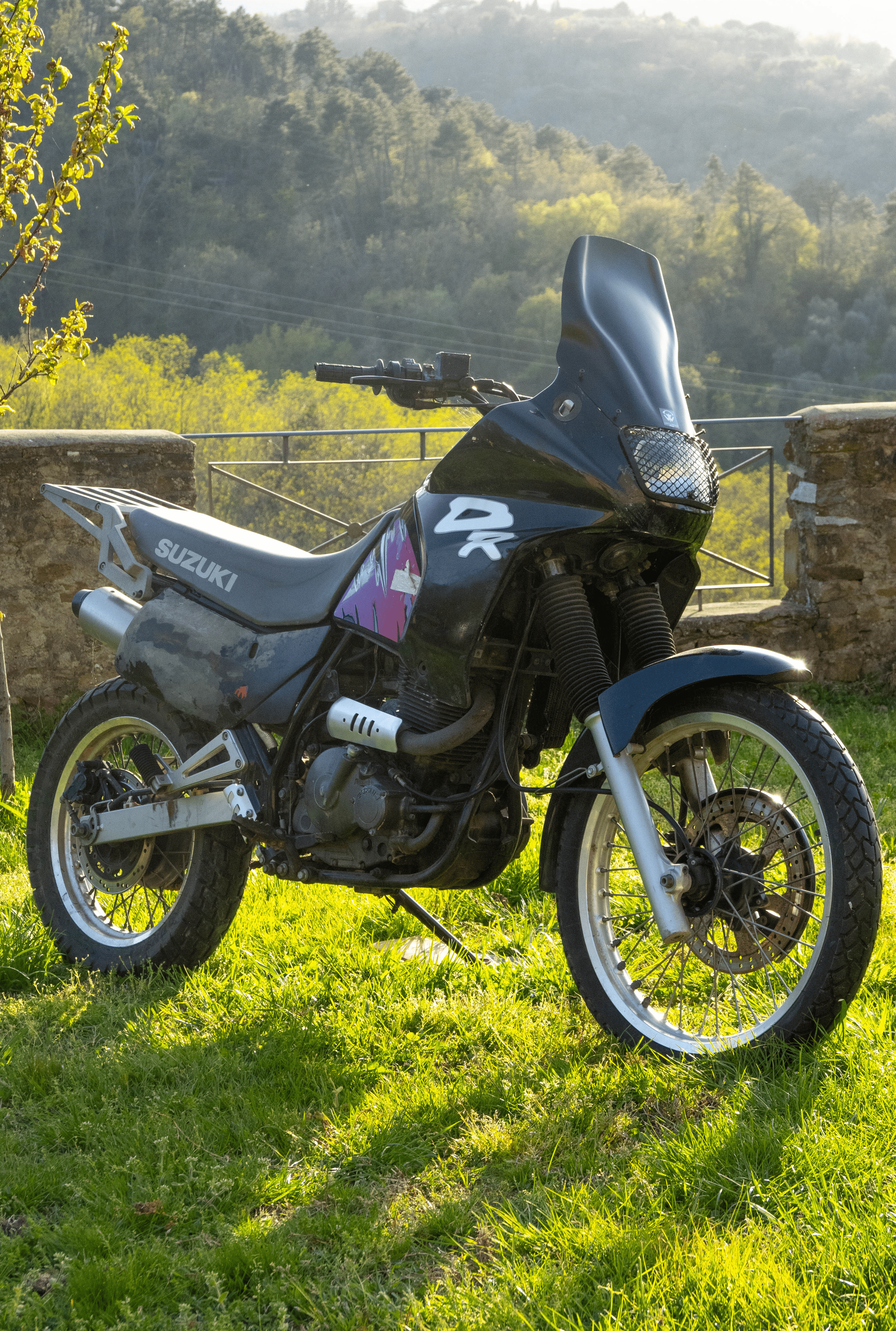 SUZUKI DR 650 RSE