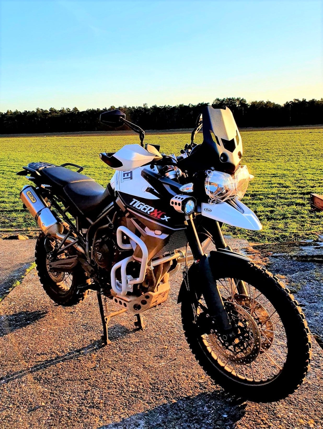 Triumph XC 800 – Cupolino Predator