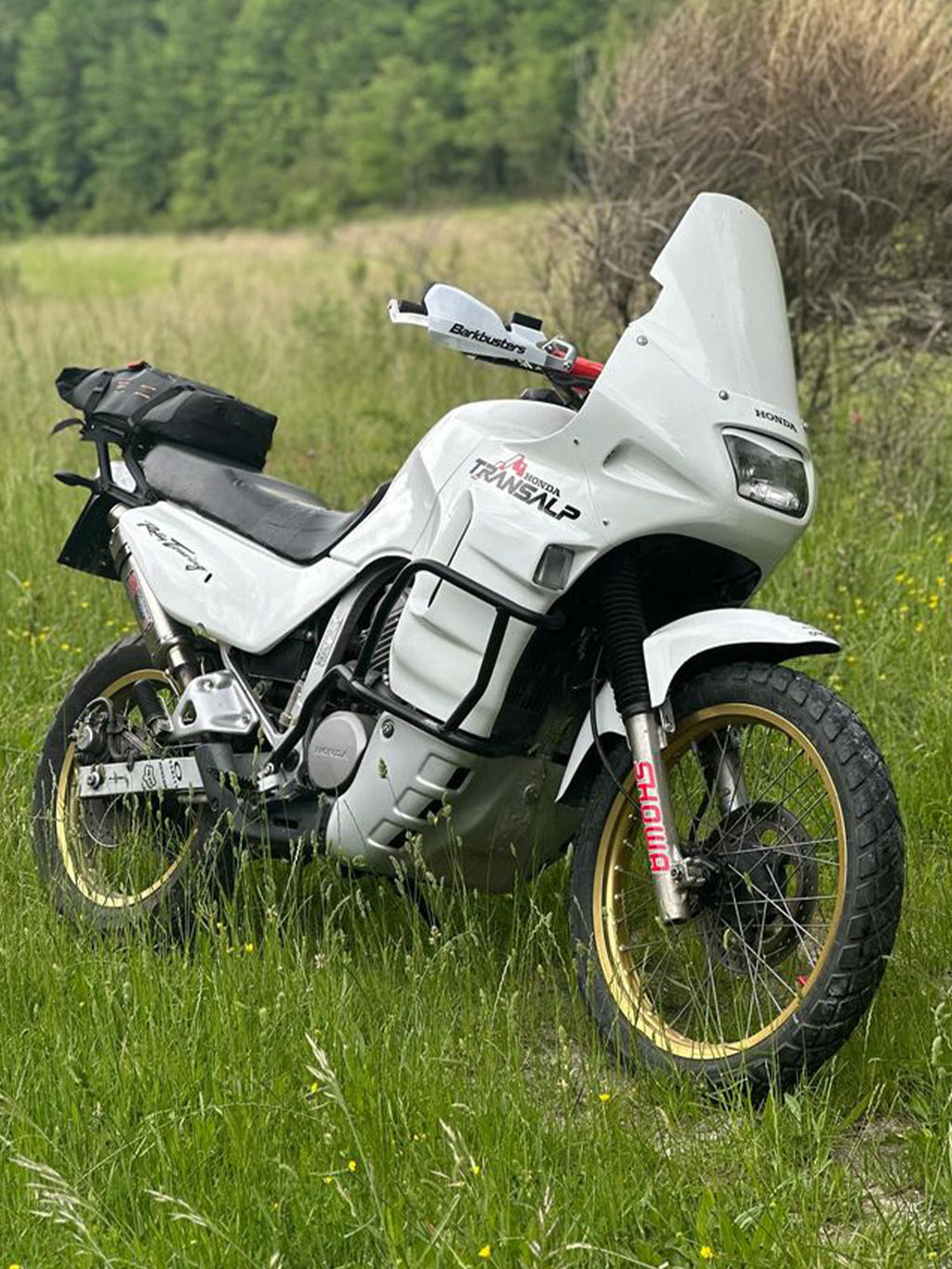 Honda Transalp XL 600 V ’94–’99 – Cupolino Rally