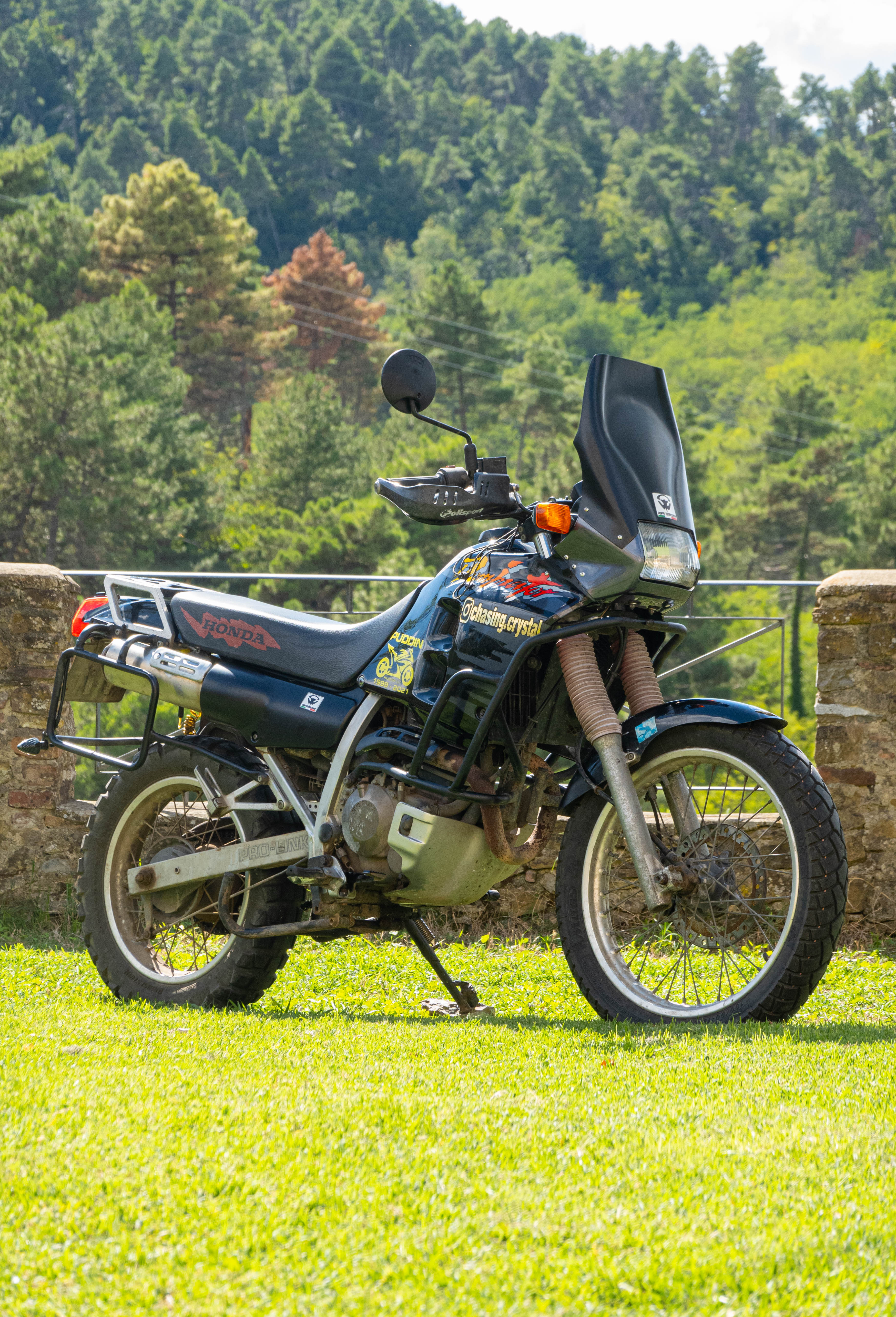 HONDA DOMINATOR NX 250 - Cupolino rally