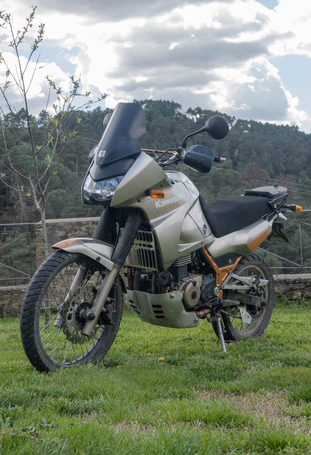 Cupolino rally KAWASAKI KLE 500 terza serie