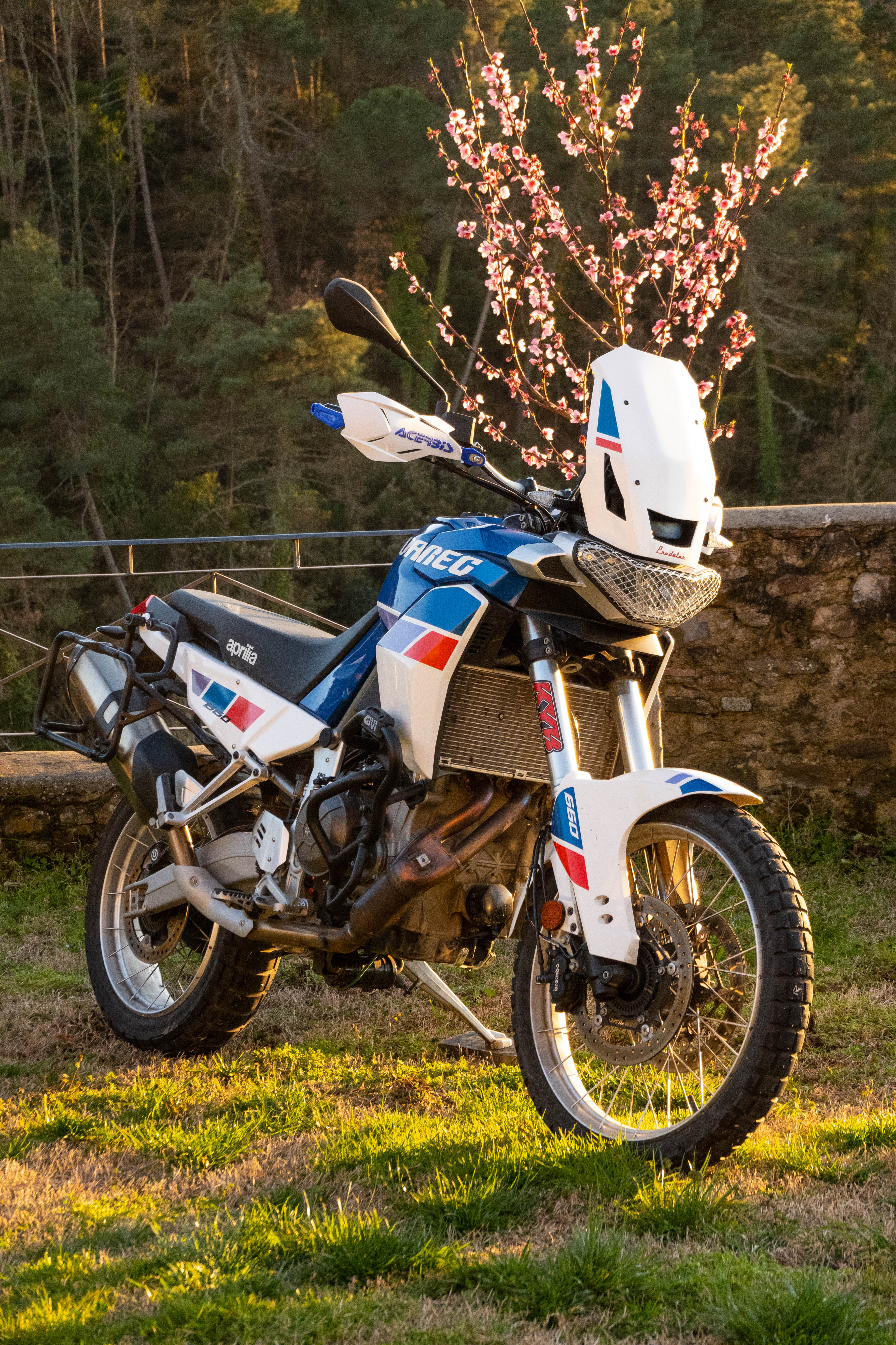 Aprilia Tuareg ’21–’25 – Cupolino Predator