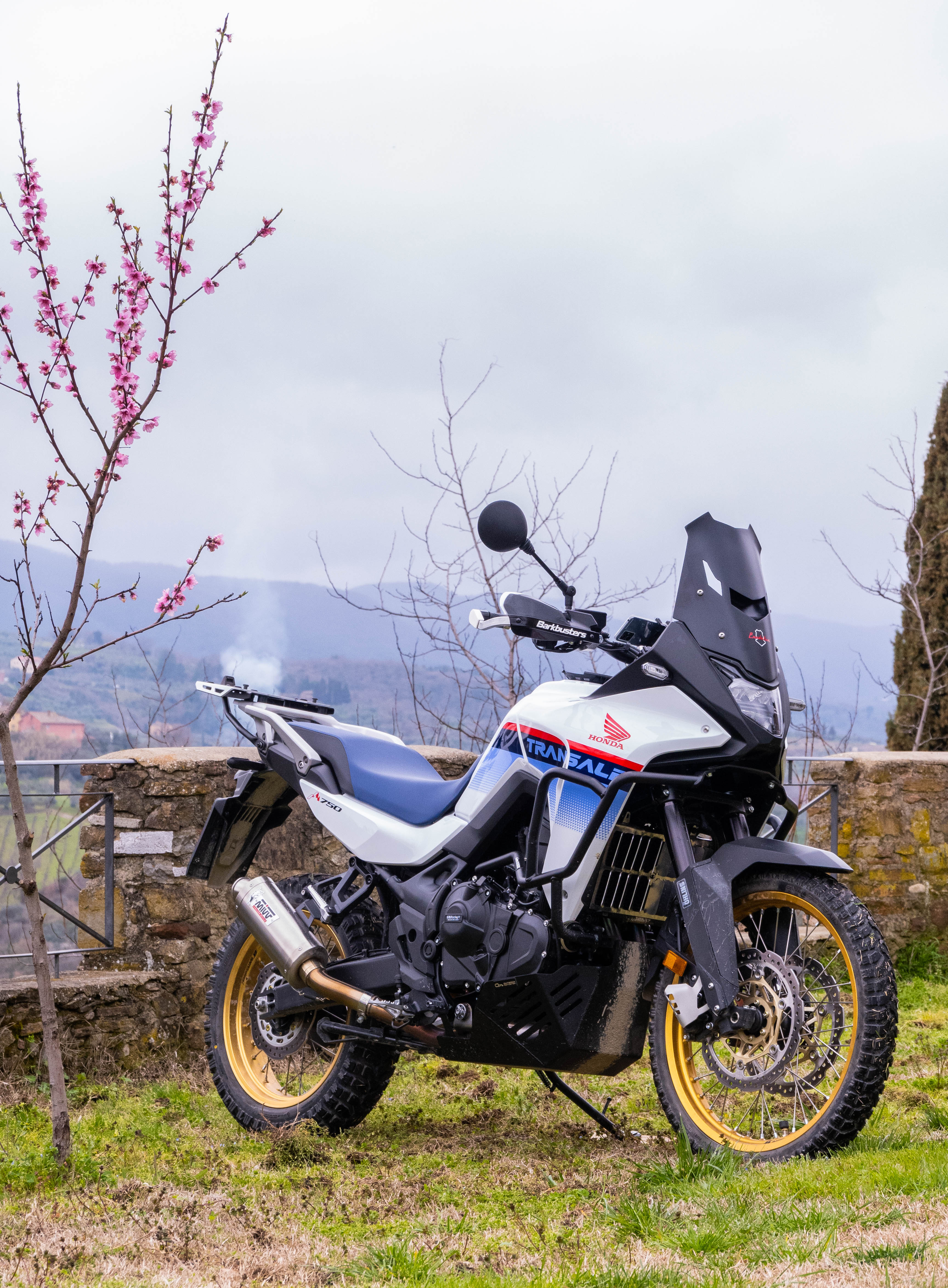 Honda Transalp 750 ’23–’24 – Cupolino Predator