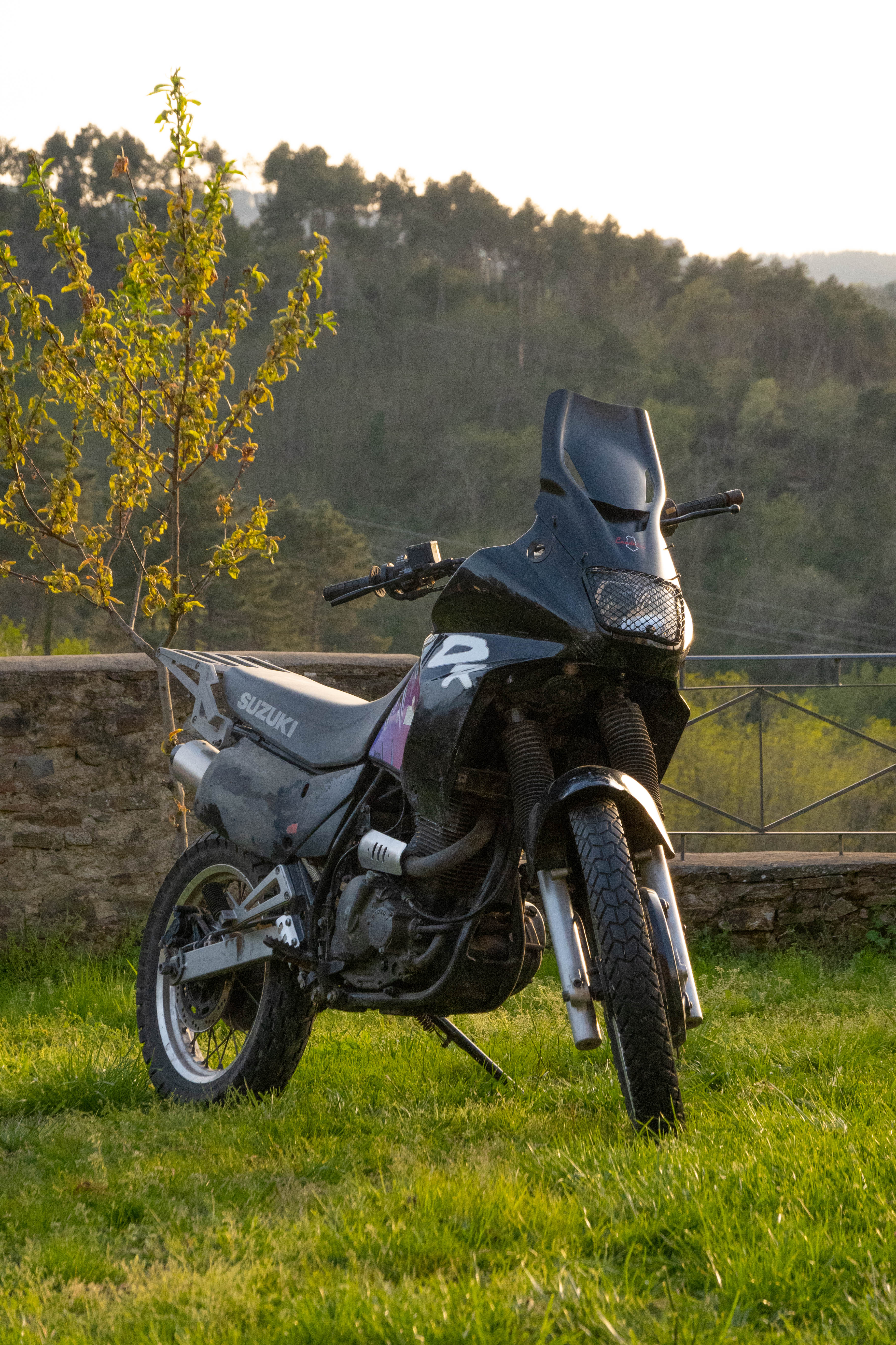 Suzuki DR 650 RSE ’91–’97 – Cupolino Predator