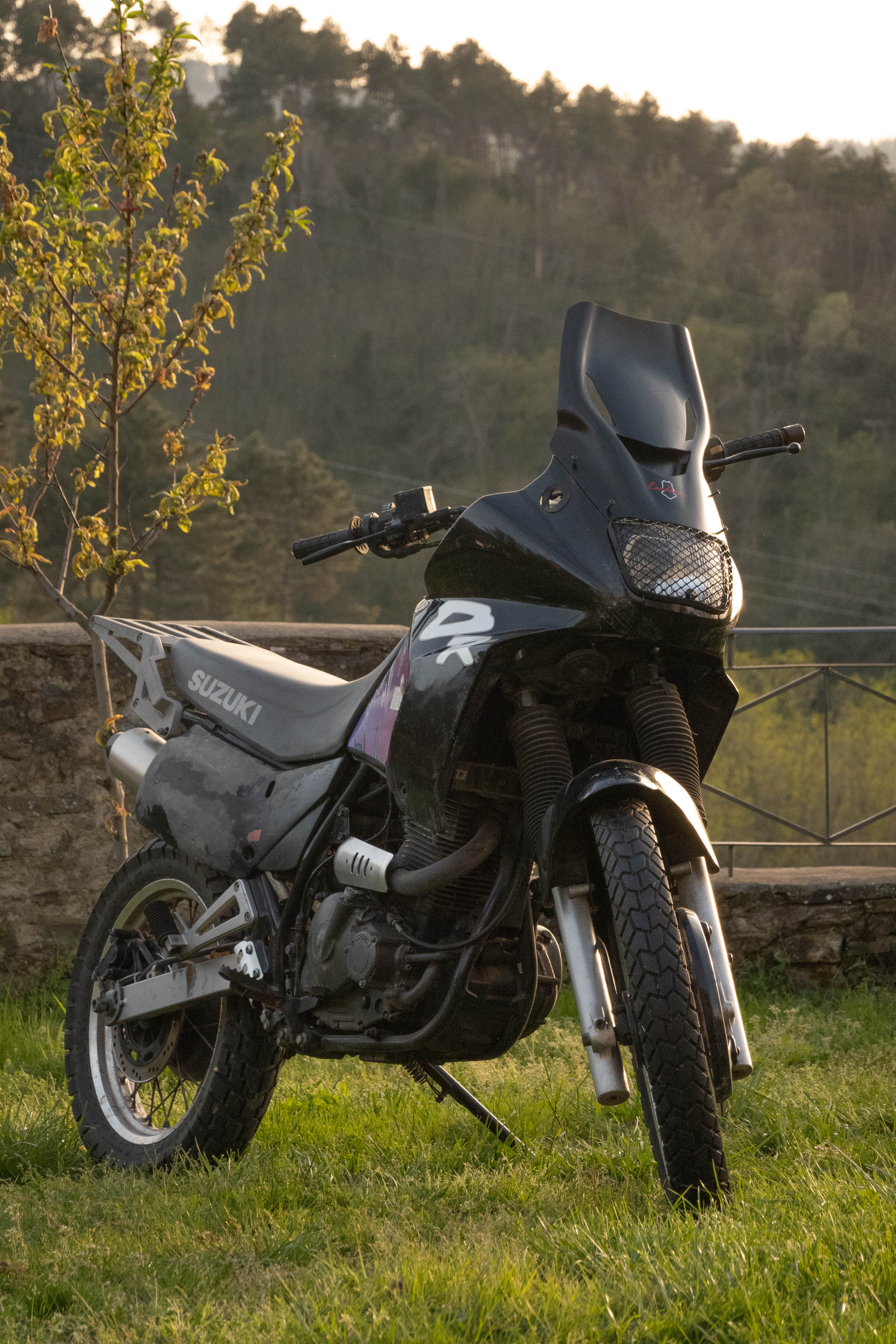 Suzuki DR 650 RSE ’91–’97 – Cupolino Predator