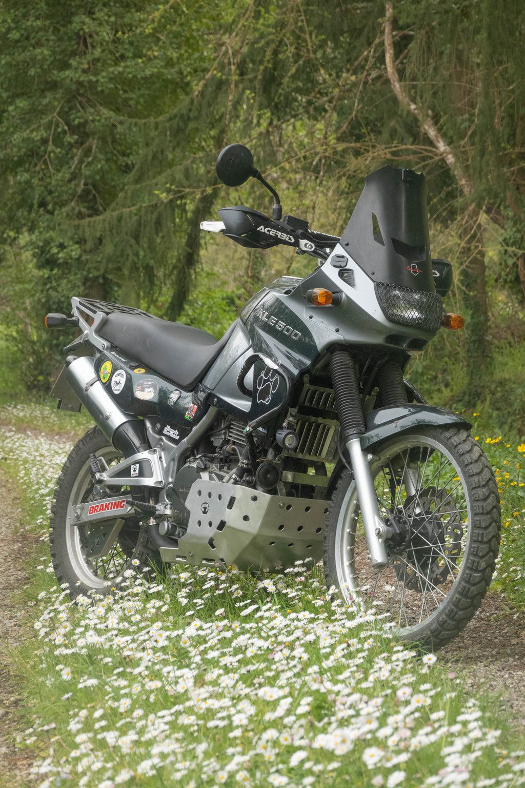 Kawasaki KLE 500 ’91–’07 – Paracoppa 4 mm alluminio - protezione motore