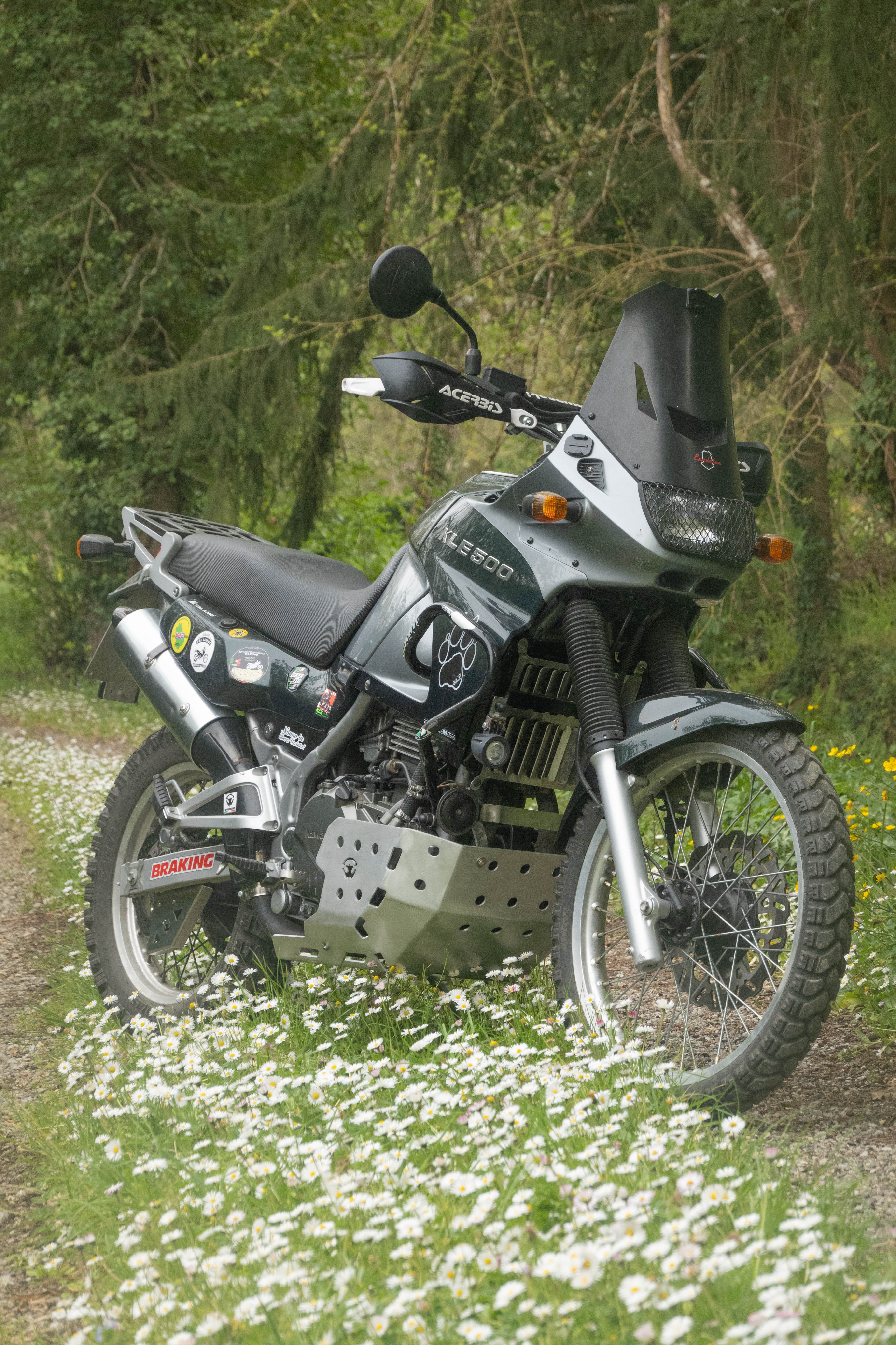 Kawasaki KLE 500 ’91–’07 – Paracoppa 4 mm alluminio - protezione motore