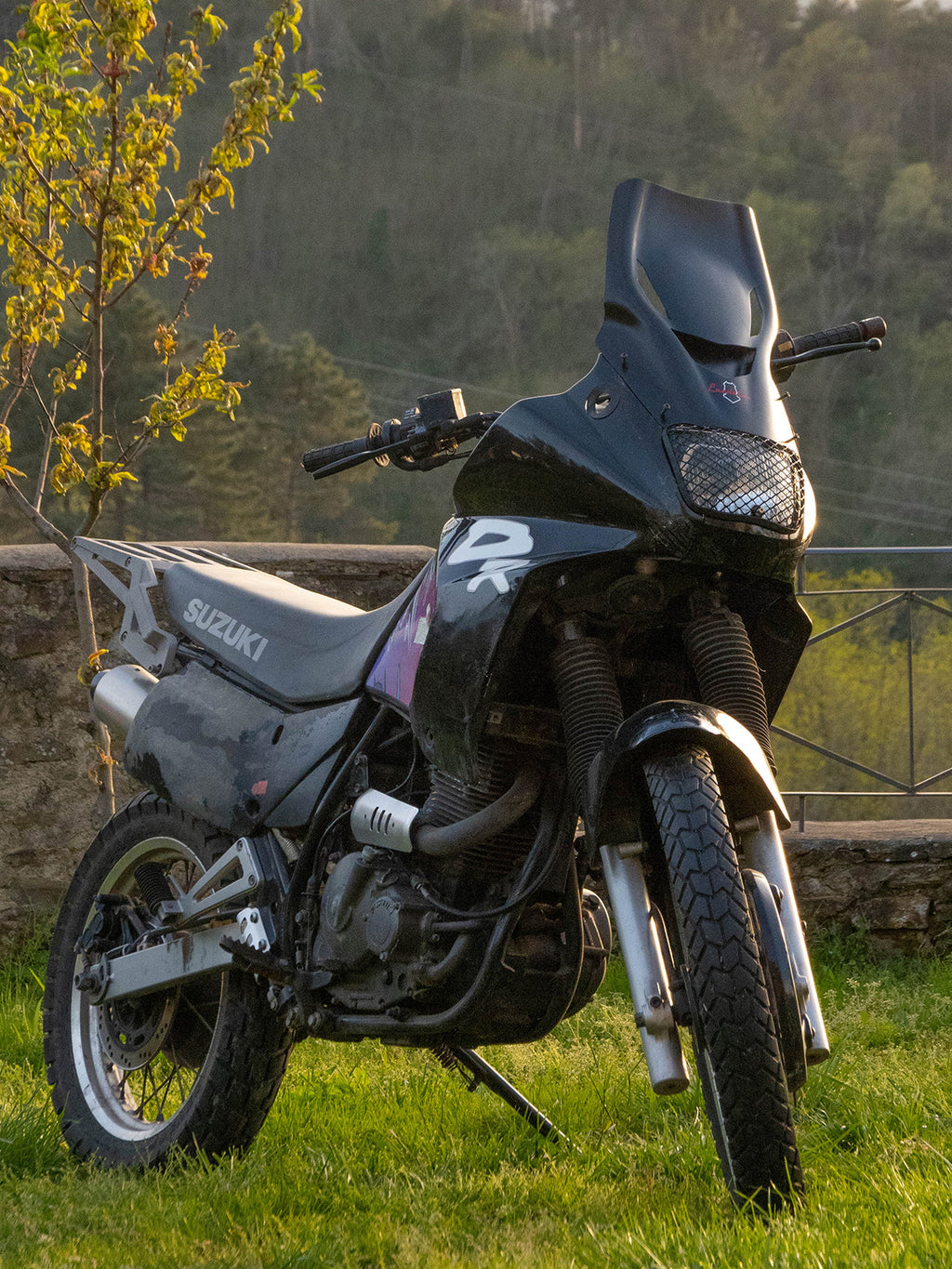 Suzuki DR 650 RSE ’91–’97 – Cupolino Predator windscreen