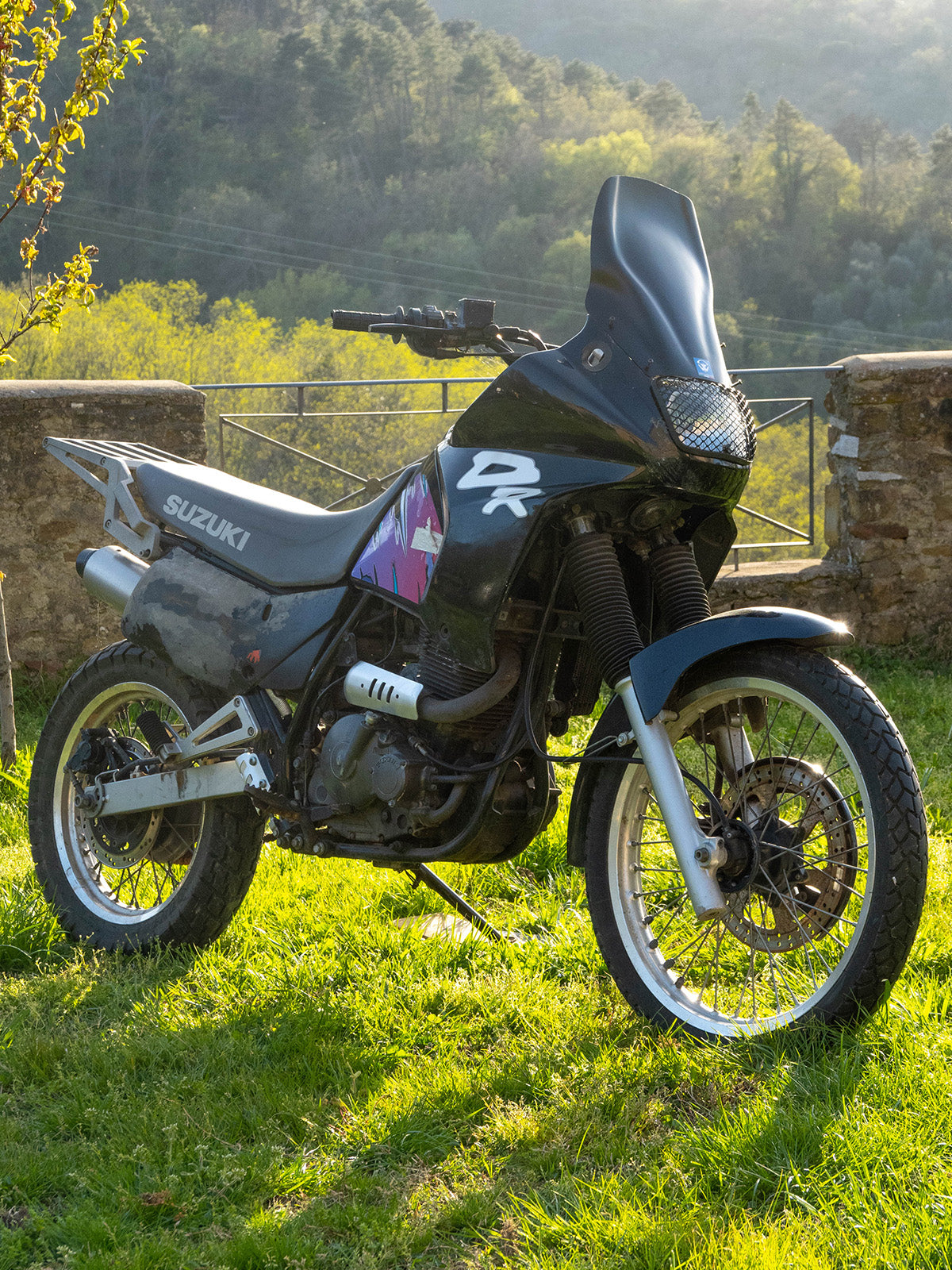 Suzuki DR 650 RSE ’91–’97 – Cupolino Rally - windscreen